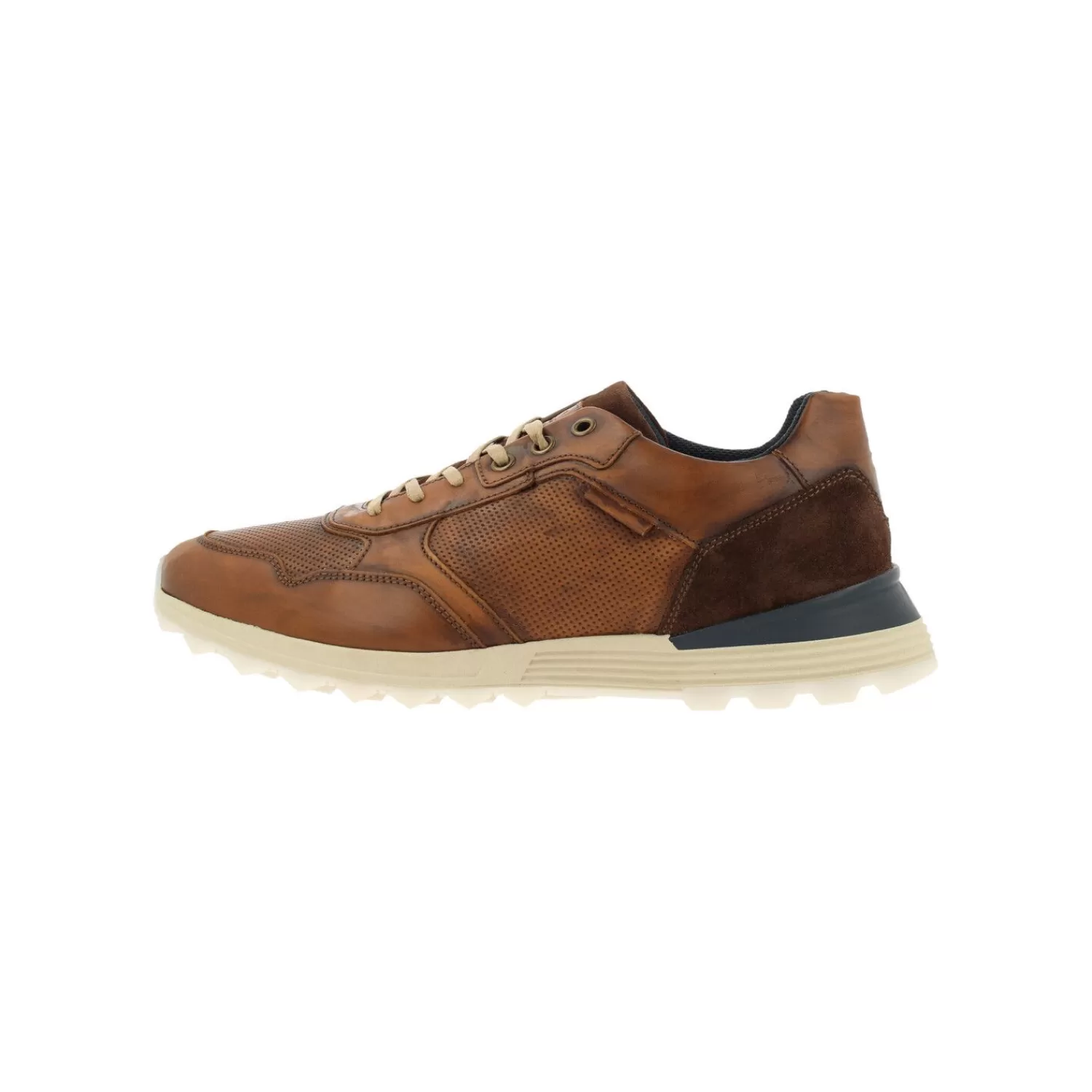 Männer Bullboxer Sneaker Tan/Cognac 373K20438Awcbnsu